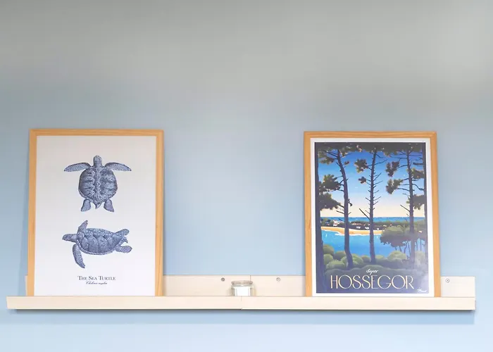 Sejour Entre Ocean Et Centre-ville * Soorts-Hossegor